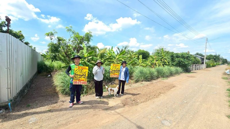 ที่ดิน 200 ตารางวา ติดถนนดิน ซอย คลองห้าตะวันตก 56 คลองหลวง ปทุมธานี