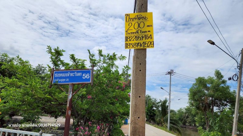 รูปที่2 ต้องการขายที่ดินเปล่า คลองห้า คลองหลวง ราคา 1,500,000 บาท