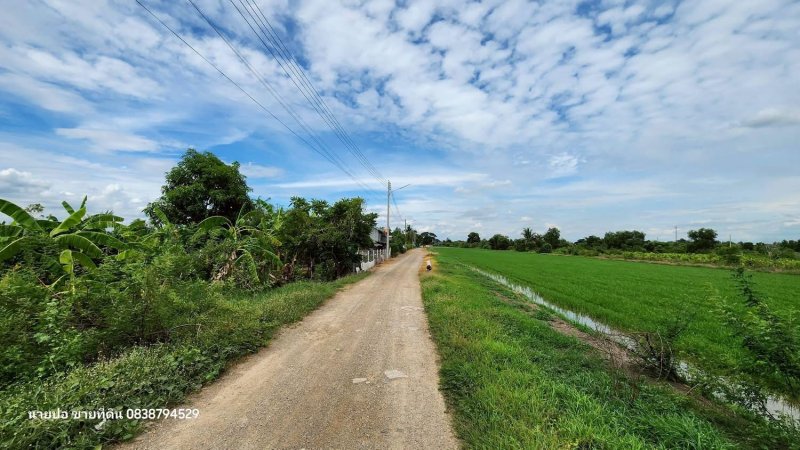 รูปที่4 ต้องการขายที่ดินเปล่า คลองห้า คลองหลวง ราคา 1,500,000 บาท