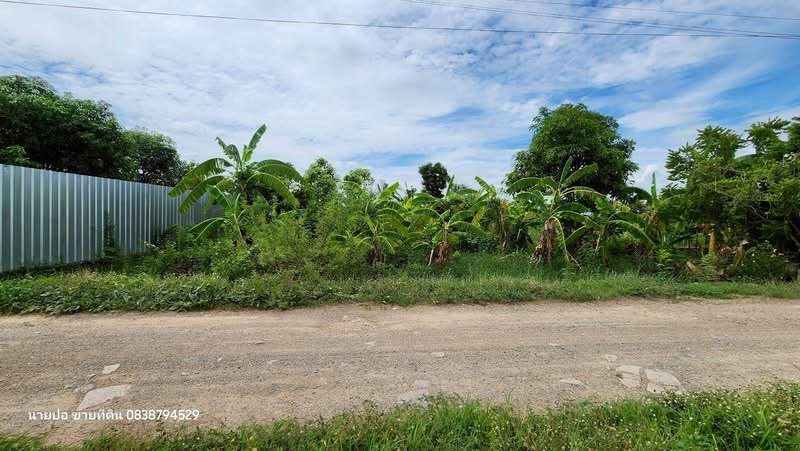 รูปที่5 ต้องการขายที่ดินเปล่า คลองห้า คลองหลวง ราคา 1,500,000 บาท
