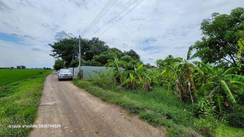 รูปที่5 ต้องการขายที่ดินเปล่า คลองห้า คลองหลวง ราคา 1,500,000 บาท