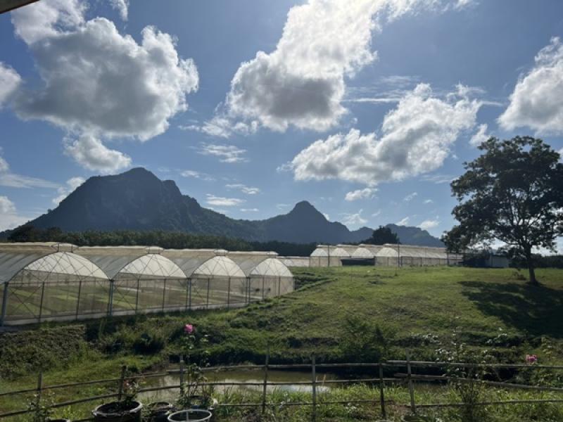 รูปที่5 ต้องการขายที่ดินเปล่า เขาหลวง วังสะพุง ราคา 22,000,000 บาท