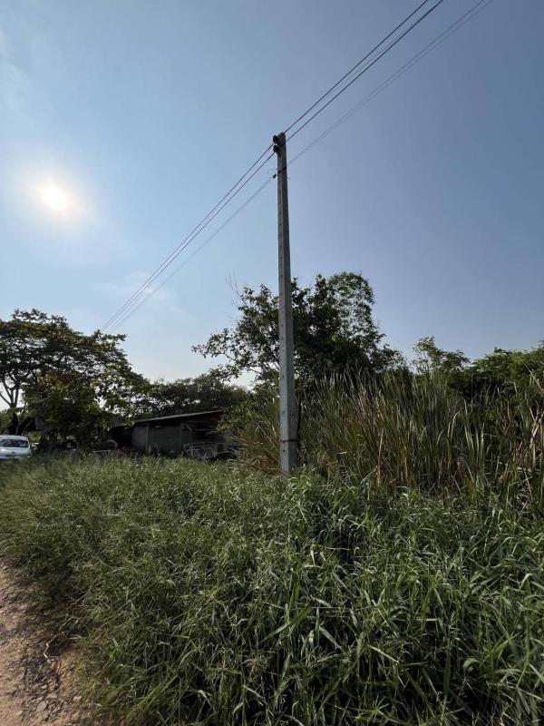 รูปที่6 ต้องการขายที่ดินเปล่า คลองหก คลองหลวง ราคา 2,155,555 บาท
