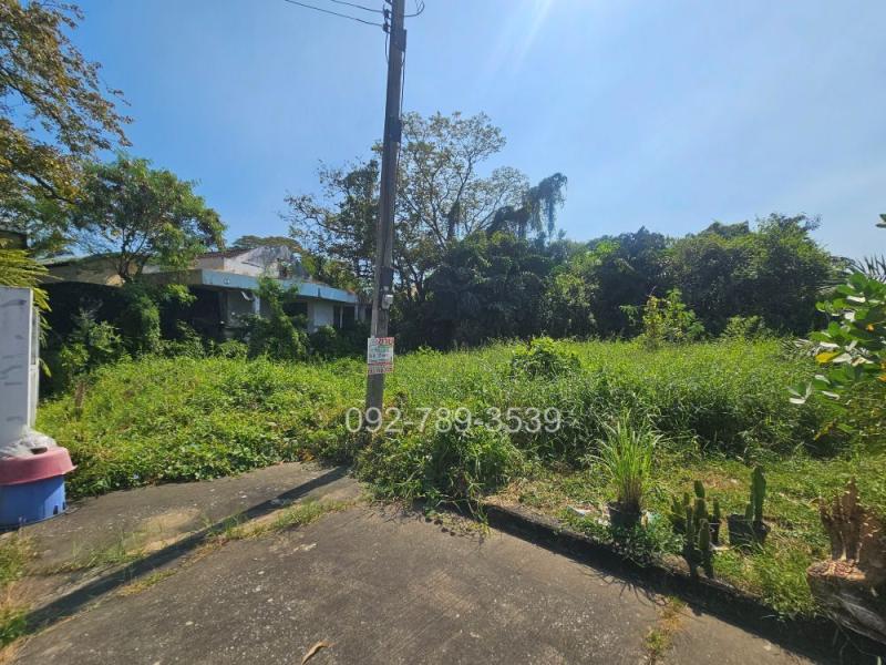 รูปที่2 ต้องการขายที่ดินเปล่า บางระมาด เขตตลิ่งชัน ราคา 2,590,000 บาท