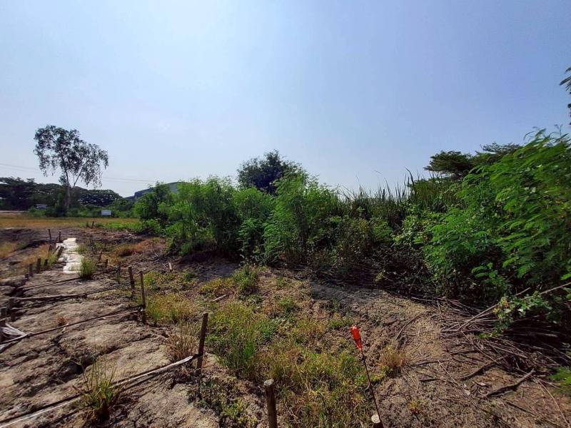 รูปที่8 ต้องการขายที่ดินเปล่า หนองเพรางาย ไทรน้อย ราคา 1,050,000 บาท