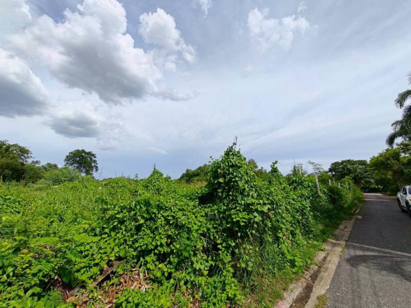 รูปที่5 ต้องการขายที่ดินเปล่า บางพรม เขตตลิ่งชัน ราคา 9,000,000 บาท