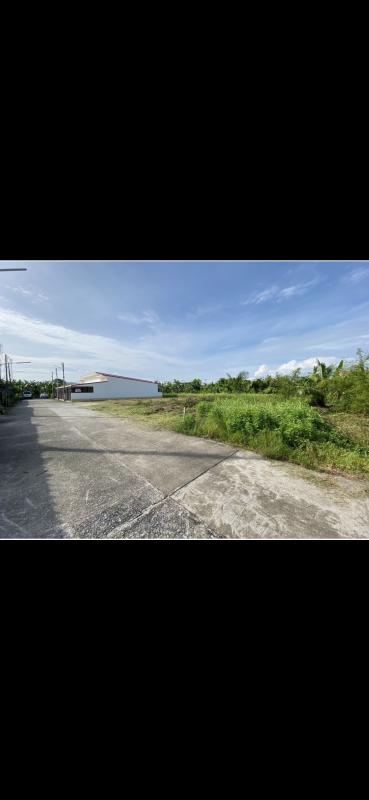 รูปที่4 ต้องการขายที่ดินเปล่า พิมาน เมืองสตูล ราคา 400,000 บาท