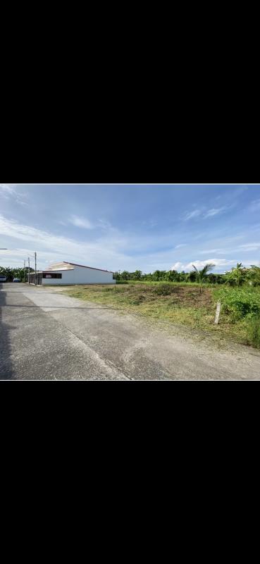 รูปที่7 ต้องการขายที่ดินเปล่า พิมาน เมืองสตูล ราคา 400,000 บาท