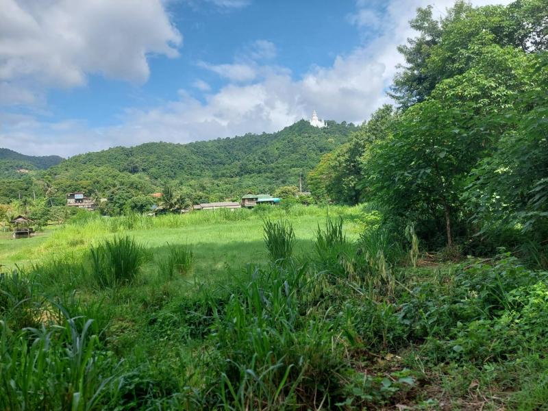 ขายที่ดินบ้านปง อ.หางดง จ.เชียงใหม่ 2ไร่ 8 ล้าน