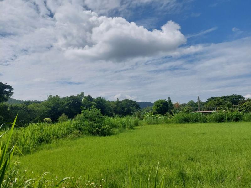 ขายที่ดินบ้านปง อ.หางดง จ.เชียงใหม่ 4 ไร่ 16 ล้าน