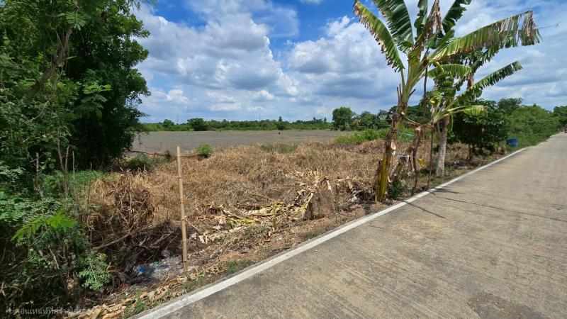 รูปที่4 ต้องการขายที่ดินเปล่า ระแหง ลาดหลุมแก้ว ราคา 850,000 บาท