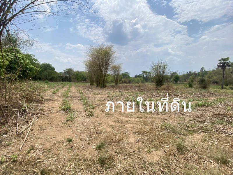 รูปที่4 ต้องการขายที่ดินเปล่า จอมศรี เชียงคาน ราคา 3,000,000 บาท