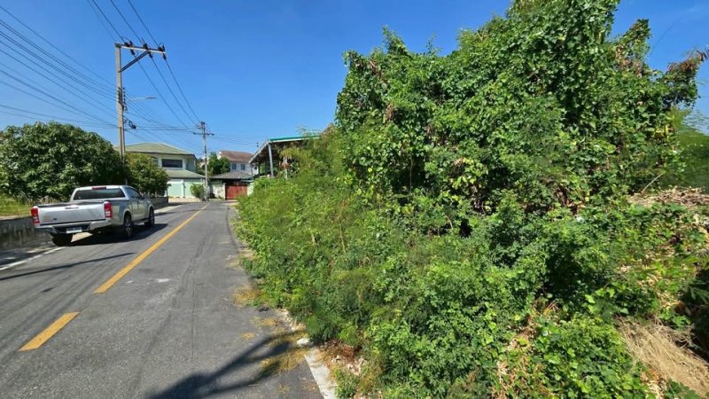 รูปที่3 ต้องการขายที่ดินเปล่า บางแม่นาง บางใหญ่ ราคา 4,400,000 บาท