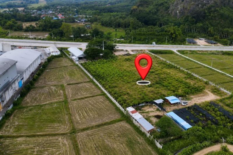 ขาย-ให้เช่าระยะยาว ที่ดินศักยภาพสูง ทำเลติดถนนสาย R3A เชียงราย–เชียงของ