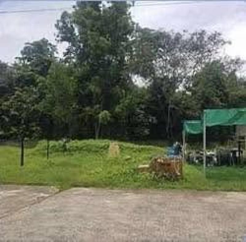 รูปที่3 ต้องการขายที่ดินเปล่า รอบเวียง เมืองเชียงราย ราคา 3,600,000 บาท