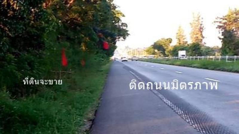 ขายที่ดิน 43 ไร่ ติดถนนมิตรภาพ บ้านไผ่ขอนแก่น ที่ดินจัดสรรแบ่งแปลงพร้อมขาย ขายยกโครงการ ขายถูกมาก