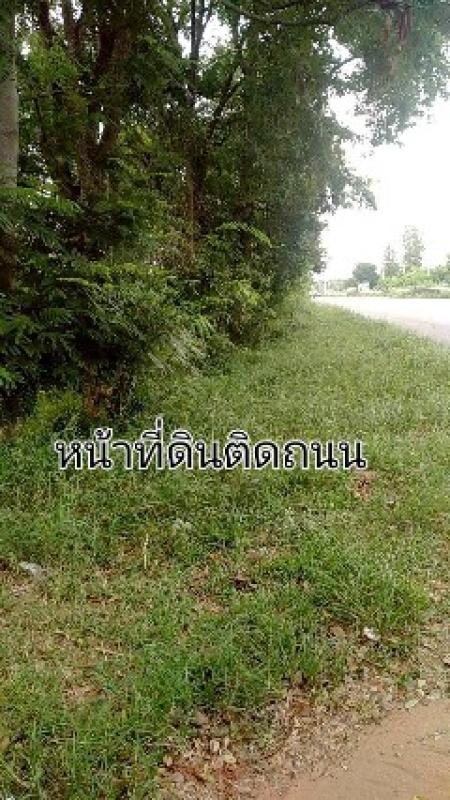 รูปที่4 ต้องการขายที่ดินเปล่า โนนศิลา* บ้านไผ่ ราคา 34,000,000 บาท
