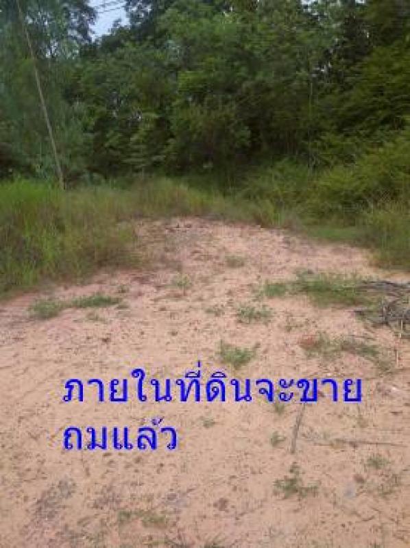 รูปที่5 ต้องการขายที่ดินเปล่า โนนศิลา* บ้านไผ่ ราคา 34,000,000 บาท