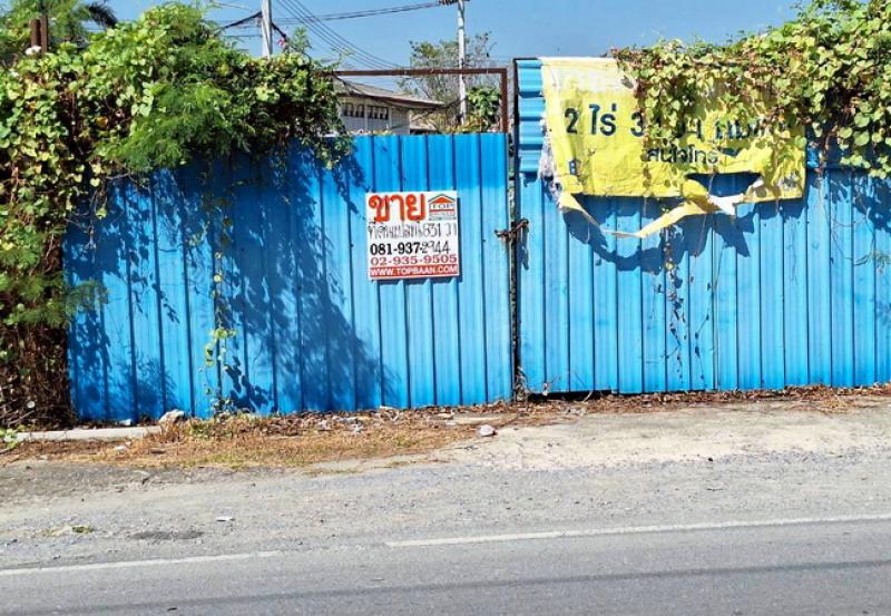 รูปที่2 ต้องการขายที่ดินเปล่า บางเตย สามพราน ราคา 20,000,000 บาท