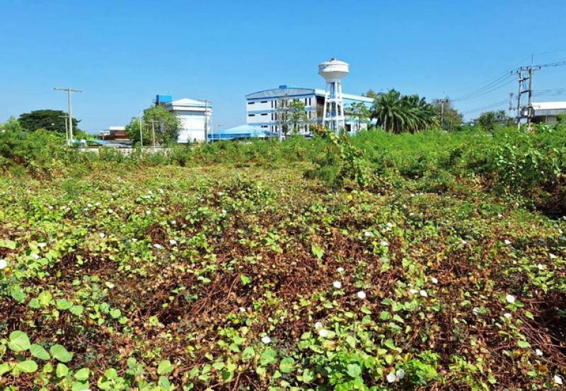 รูปที่5 ต้องการขายที่ดินเปล่า บางเตย สามพราน ราคา 20,000,000 บาท