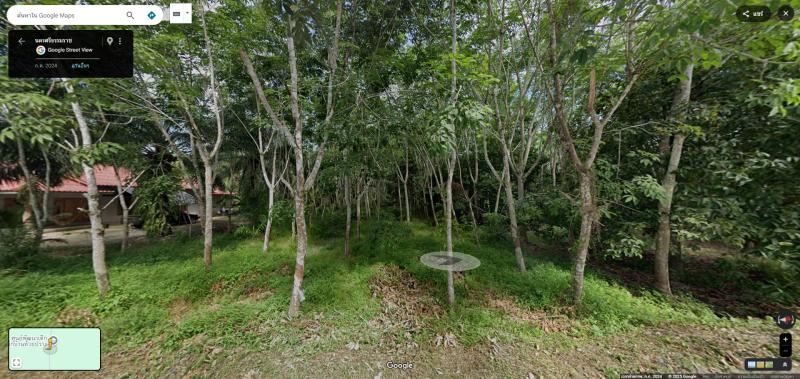 รูปที่4 ต้องการขายที่ดินเปล่า กำแพงเซา เมืองนครศรีธรรมราช ราคา 1,500,000 บาท