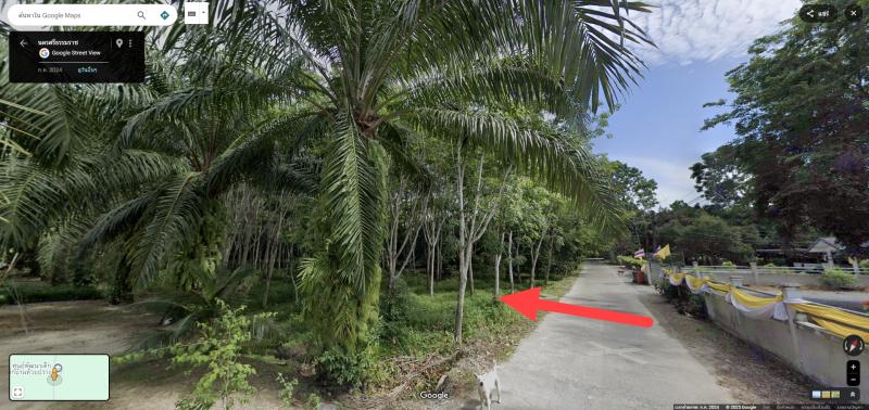 รูปที่5 ต้องการขายที่ดินเปล่า กำแพงเซา เมืองนครศรีธรรมราช ราคา 1,500,000 บาท