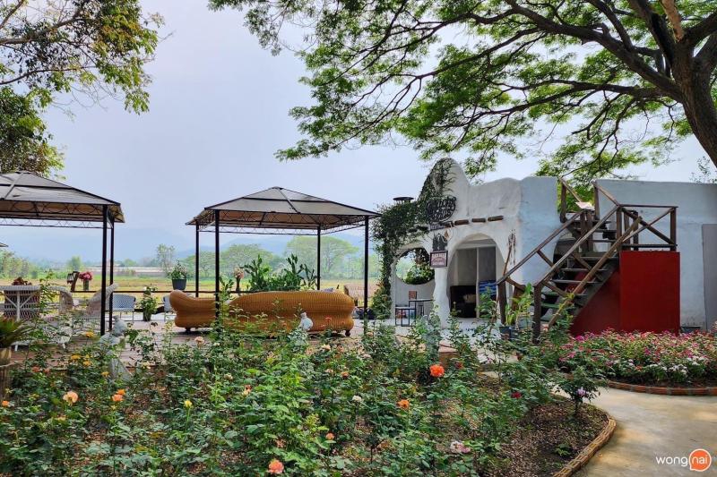 sale and rent Wooden House Sankamphang,Chiangmai ขายและให้เช่าบ้าน 1 ไร่ ครึ่ง สันกำแพงเชียงใหม่