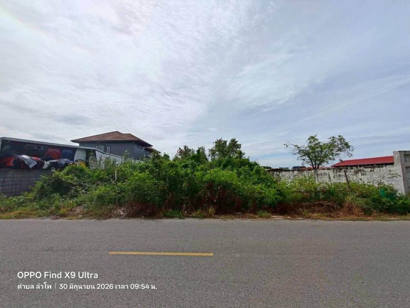 ขายด่วนที่ดิน 200 ตรว ติดถนนลาดยางสาธารณะ ลำโพ บางบัวทอง นนทบุรี