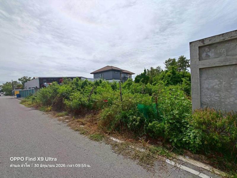 รูปที่3 ต้องการขายที่ดินเปล่า ลำโพ บางบัวทอง ราคา 3,000,000 บาท