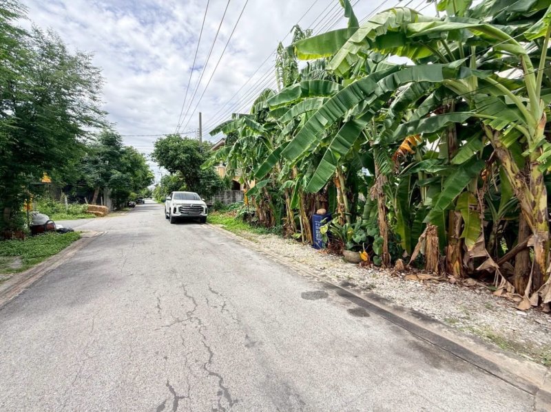 รูปที่3 ต้องการขายที่ดินเปล่า ออเงิน* เขตบางเขน ราคา 1,550,000 บาท