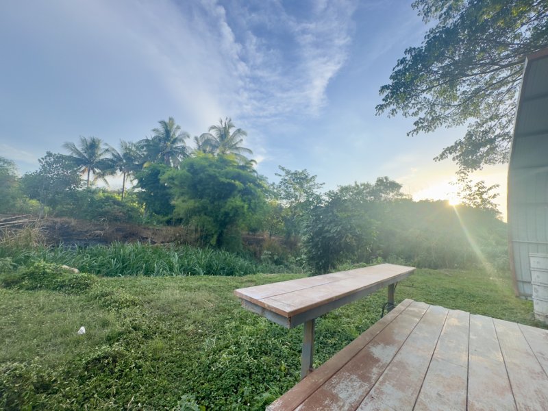 รูปที่3 ต้องการขายบ้านพร้อมที่ดิน คลองม่วง ปากช่อง ราคา 2,500,000 บาท