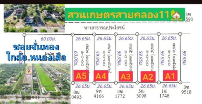 ขายถูกมาก ทำเลดี อากาศปลอดโปร่งโล่งสบาย  ️ที่ดินวิวสวนวิวนา เหมาะทำบ้านสวน ️ซื้อเก็บก็กำไร หรือซื้อเป็นมรดกให้ลูกหลาน #ที่ดินคลอง11 #หนองเสือ #ปทุมธานี  มีเพื่อนบ้าน น่ารัก ️อากาศดี