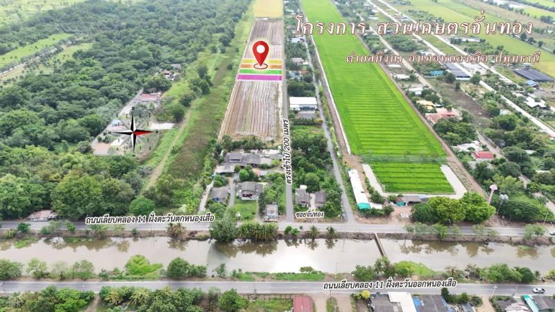 รูปที่5 ต้องการขายที่ดินเปล่า บึงชำอ้อ หนองเสือ ราคา 995,000 บาท