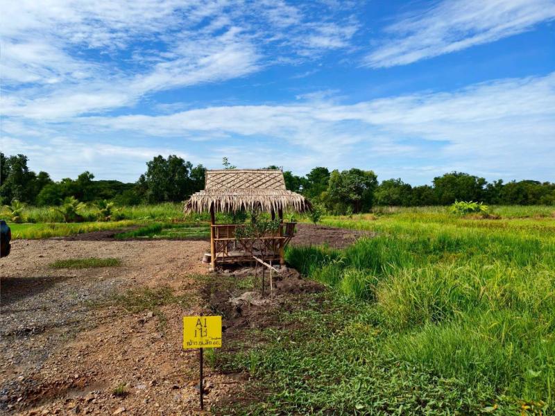 รูปที่6 ต้องการขายที่ดินเปล่า บึงชำอ้อ หนองเสือ ราคา 995,000 บาท