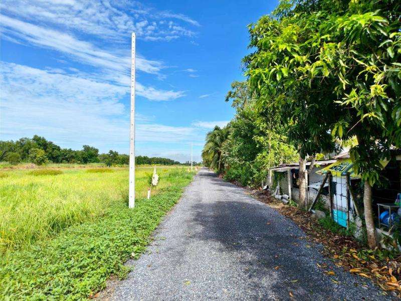 รูปที่7 ต้องการขายที่ดินเปล่า บึงชำอ้อ หนองเสือ ราคา 995,000 บาท