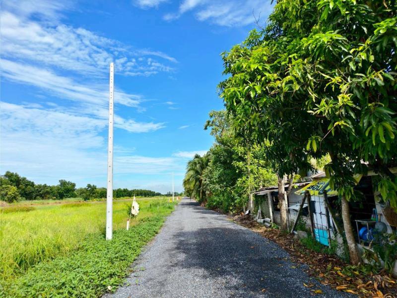 รูปที่8 ต้องการขายที่ดินเปล่า บึงชำอ้อ หนองเสือ ราคา 995,000 บาท