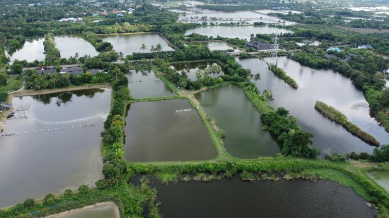 รูปที่3 ต้องการขายที่ดินเปล่า ท่าพระยา นครชัยศรี ราคา 9,990,000 บาท