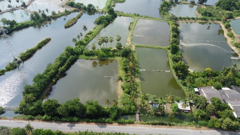 รูปที่8 ต้องการขายที่ดินเปล่า ท่าพระยา นครชัยศรี ราคา 9,990,000 บาท