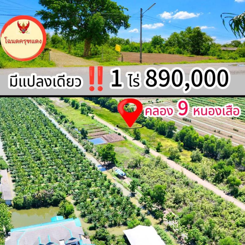 รูปที่3 ต้องการขายที่ดินเปล่า บึงชำอ้อ หนองเสือ ราคา 890,000 บาท