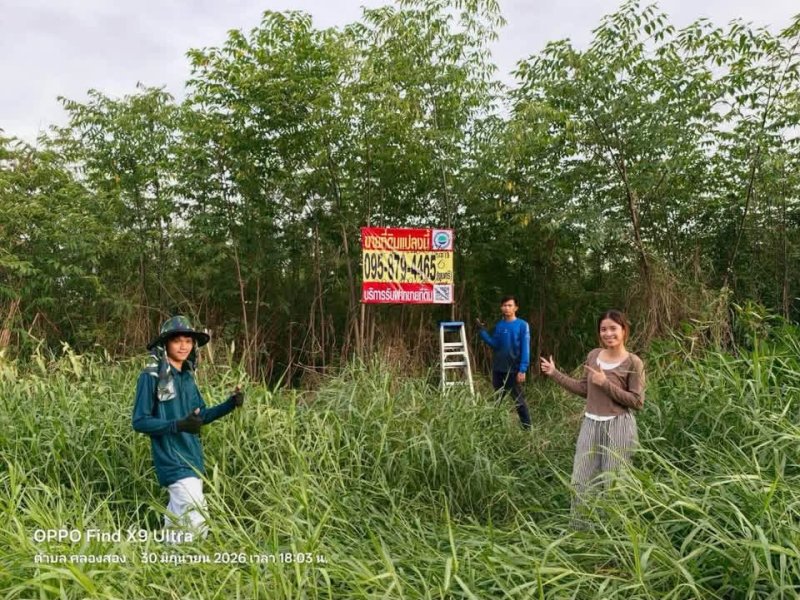 ขายด่วนที่ดินบงกช 1 ไร่ ติดถนนสาธารณะ ซอย บงกช 6 คลองหลวง ปทุมธานี