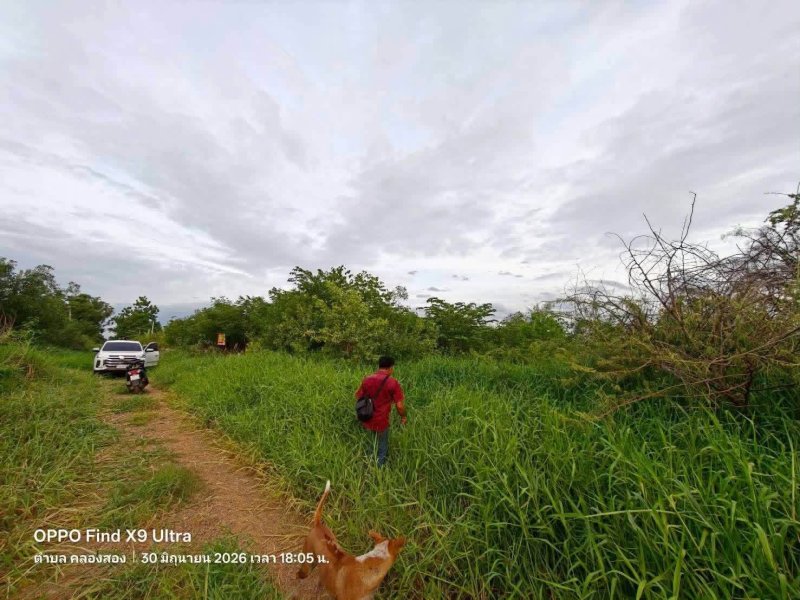 รูปที่2 ต้องการขายที่ดินเปล่า คลองสอง คลองหลวง ราคา 1,200,000 บาท