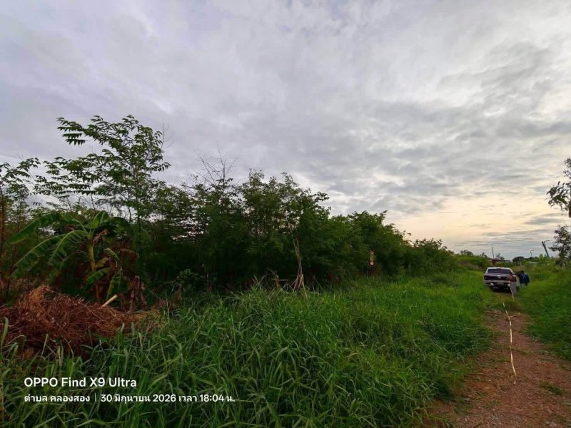 รูปที่3 ต้องการขายที่ดินเปล่า คลองสอง คลองหลวง ราคา 1,200,000 บาท