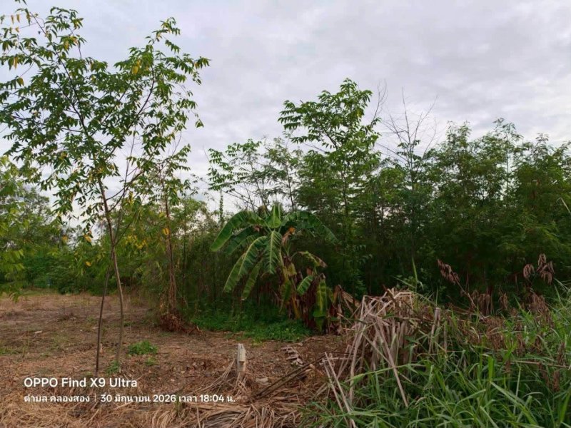รูปที่4 ต้องการขายที่ดินเปล่า คลองสอง คลองหลวง ราคา 1,200,000 บาท