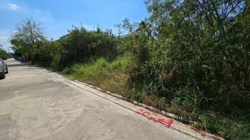 รูปที่3 ต้องการขายที่ดินเปล่า ศาลายา พุทธมณฑล ราคา 2,400,000 บาท